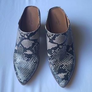 Universal Thread | All Man Size 6 | Snake skin